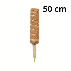 Poteau <span class=keywords><strong>en</strong></span> mousse moderne et flexible pour plantes d'intérieur, grand modèle, pour tortues et bambous, support de croissance pour plantes - Product Image 1