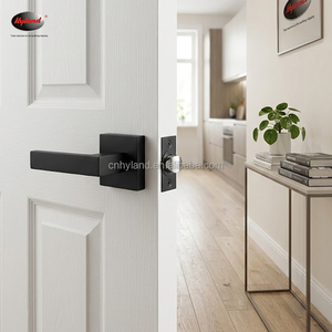 Serrure de porte tubulaire HYLAND LH852 <span class=keywords><strong>BNPS</strong></span> avec poignée en alliage de zinc, ensemble de serrures OEM - Product Image 5