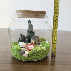 Vaso in Vetro Trasparente con Coperchio in Sughero per Decorazione Mini Paesaggio <span class=keywords><strong>Naturale</strong></span> con Piante da Tavolo per <span class=keywords><strong>Casa</strong></span> e Ufficio 15cm - Product Image 6