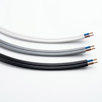 BVVB Doppeladerkabel 2 AWG 300V Flachkupferleiter PVC-Isoliert PVC-Ummantelung Elektrokabel IEC Hausinstallationskabel für den Haushalt
