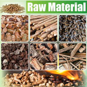 Richi-new nhiên liệu sinh học Nguồn công suất nhỏ sinh khối tre gỗ PELLET dòng máy để bán - Product Image 2