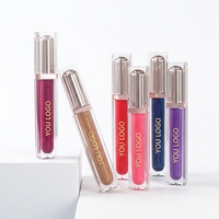 Gloss à lèvres végétalien personnalisable avec logo, hydratant, transparent, pailleté, en gros, pour revendeurs