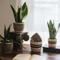 Pot de cactus mat de style nordique, 1 pièce, en béton, pour décoration de maison, pour fleur d'extérieur