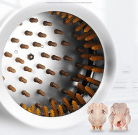 Machine à épiler les plumes de poulet en acier inoxydable, machine à épiler les plumes de poulet et chauffe-eau