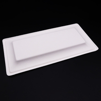 Assiettes jetables biodégradables 10*5 pouces en pulpe de bagasse de canne à sucre pour repas en extérieur et peinture