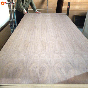 Contrachapado de Madera de Primera Calidad, Enchapado con Madera de Arce, Luan, Fresno y Nogal, de 1 mm de Espesor, Moldeado por CNC - Product Image 2