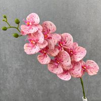 Susunan Anggrek Phalaenopsis Sutra Buatan Tangan Real Touch untuk Dekorasi Pernikahan, Hari Ibu, dan Rumah