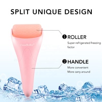 Thérapie de refroidissement de la peau en silicone à usage domestique Derma Ice Roller Tool pour le visage et le corps Nez Tête Soulagement des yeux Soulage les poches Masseur