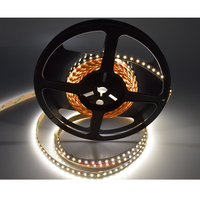 Bande LED flexible double blanc SMD 2216, blanc réglable 2700K-6500K, 240 LED/m, pour projets d'éclairage modernes