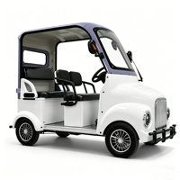 Holladay Chariot de golf touristique électrique à pédale en acier inoxydable 4 places pour shopping et cargo pour adultes Scooter électrique