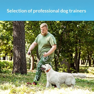 <span class=keywords><strong>Collar</strong></span> de Adiestramiento para Perros con <span class=keywords><strong>Control</strong></span> Remoto Inteligente de 1KM, 3 Modos, Impermeable y Antiladridos, en Oferta - Product Image 4