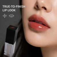 Lacquer à lèvres liquide haute brillance confortable sur mesure OEM/ODM