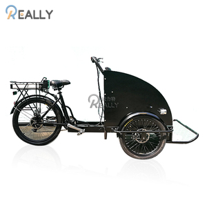 Tricycle électrique à <span class=keywords><strong>3</strong></span> <span class=keywords><strong>roues</strong></span>, appareil pour le tourisme, la famille, pour adulte - Product Image 6