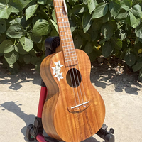 Ukulele en bois massif de haute qualité de la marque Aiersi, 24 pouces, guitare ukulélé, instruments à cordes musicaux en gros pour les amateurs de musique