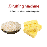 Machine à extruder les aliments en acier inoxydable automatique FSD, nouvelle génération, haute productivité, grande capacité