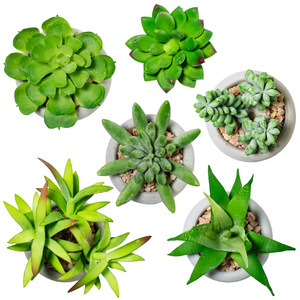 Nouveaux pots à succulentes en céramique plastique artificielle, décoration de bureau mignonne et réaliste, pots à succulentes uniques - Product Image 5
