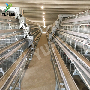 Nouvelle <span class=keywords><strong>cage</strong></span> à poules pondeuses entièrement automatisée à 4 niveaux pour 1000 poulets, capacité de 200 poules pondeuses - Product Image 4