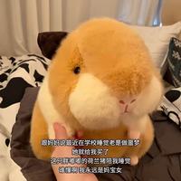 Peluche réaliste cochon d'Inde 25 cm en fausse fourrure de vison, douce et moelleuse, pour cadeau, vente en gros