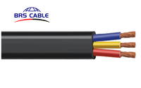 Câble de pompe submersible étanche 2.5mm2 4Sqmm 6mm 3Core