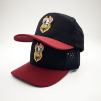 Gorra Deportiva de Alta Calidad, 6 Paneles, Transpirable, Diseño Dobby, Estampado de Frutas, Leopardo, Estilo Urbano, para Golf, Tela de Poliéster, Ajustable con Broche