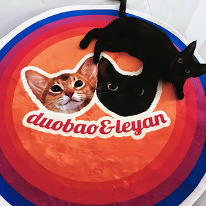 <span class=keywords><strong>Tappeto</strong></span> da compagnia personalizzato fatto a mano morbido fustello e tappetino antiscivolo soffici tappeti <span class=keywords><strong>grande</strong></span> soggiorno regalo di natale <span class=keywords><strong>per</strong></span> bambini - Product Image 3