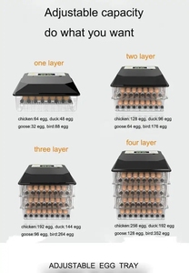 2023 Incubatrice Automatica a Temperatura Controllata per <span class=keywords><strong>Uova</strong></span> di Galline Ovaiole - Product Image 3