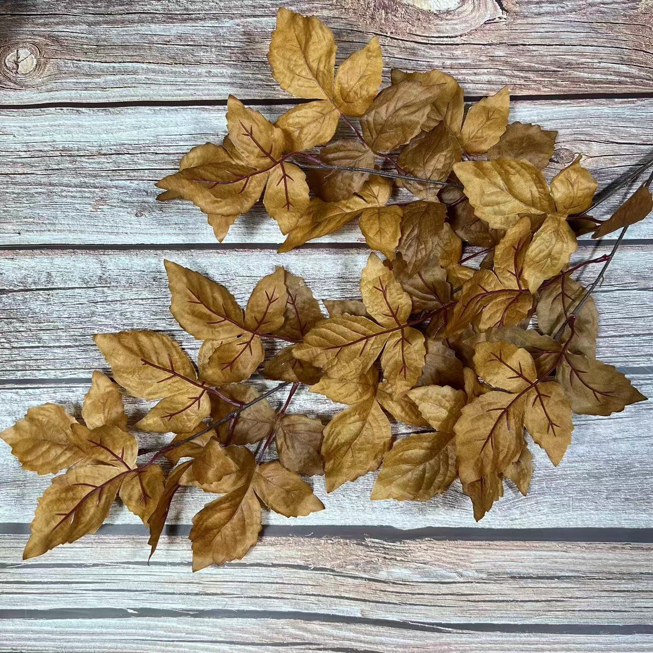 #5 foglie di manioca