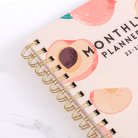 Cahier de notes personnalisé avec LOGO 2024 A5 Spiral Weekly Wellness Goal Diary Journal Planner Journal Notebook pour étudiants Vente en gros