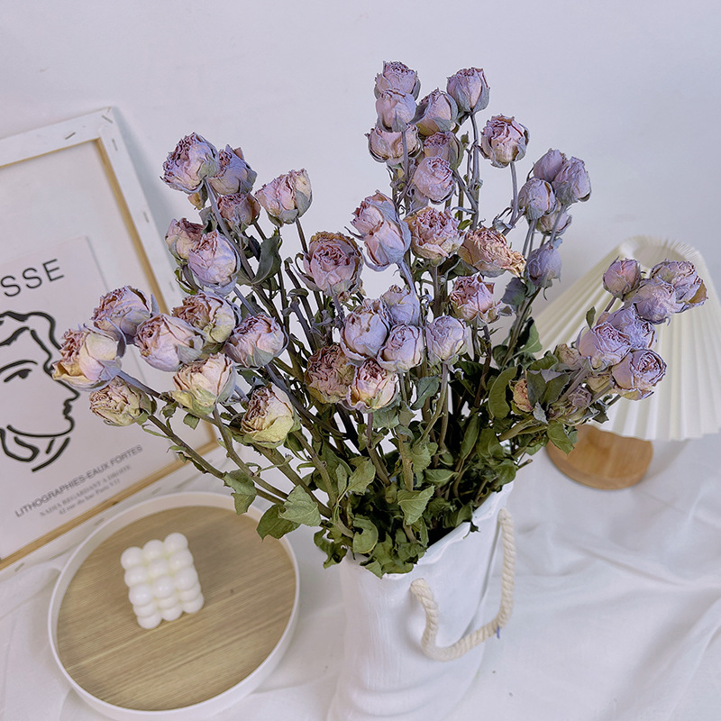 Rose Ice Crushing Purple 10 Pieces