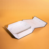 Caja de Papel de Diseño Moderno para Altavoz y Embalaje, Caja de Regalo Pantone Blanca Personalizada, Logotipo OEM Personalizado, Artículo de Embalaje Industrial a Color