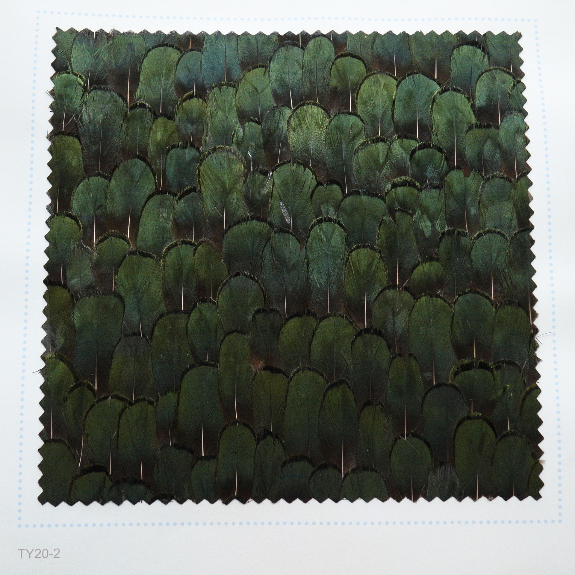 TY20-2&nbsp;:&nbsp;la fin de la guerre