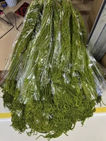 Décoration murale en amaranthe verte suspendue D-1, arrangement de fleurs séchées pour mariage et toutes occasions, 100 cm, en plastique