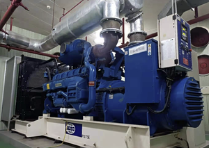 Groupe électrogène au gaz naturel de 30 kW approuvé ISO avec démarrage électrique, produit de production d'électricité, nouvelle énergie, production d'énergie - Product Image 4