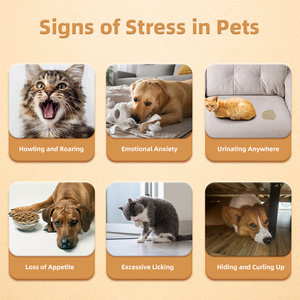 Le supplément pour animaux de compagnie de gouttes liquides apaisantes personnalisables soulage le stress et favorise la relaxation chez les chiens, les chiots et les chats - Product Image 3