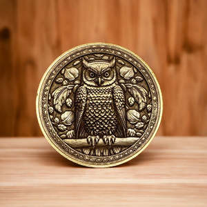 Vendita di oggetti in metallo vendita alla rinfusa gettone moneta modello animale monete in metallo Souvenir rotondo in ottone gufo 3d sfida moneta Design - Product Image 4