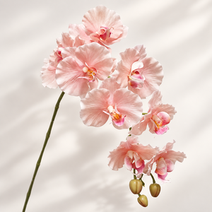 Orchidée Phalaenopsis Artificielle Personnalisée de Qualité Supérieure, Texture de Pétales Réaliste, Fleurs en Plastique Tendance, Prise en Charge OEM/ODM - Product Image 4