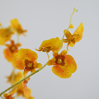 Fleurs d'orchidées artificielles hydratantes à 3 branches, style nouveau, toucher réel, pour la décoration intérieure, la Saint-Valentin et Noël, vente en gros