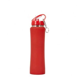 Bouteille d'eau sport isotherme en acier inoxydable à double paroi, 600 ml/750 ml, avec paille et bouchon anti-fuite, idéale pour les voyages - Product Image 1