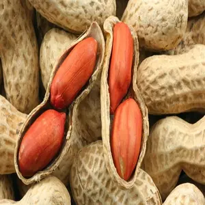 Высококачественные арахисовые зерна и арахис в скорлупе, распродажа