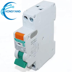 Disjoncteur différentiel TENGEN Tianzheng Electric 1P, protection domestique double entrée et double sortie contre les fuites de courant - Product Image 1
