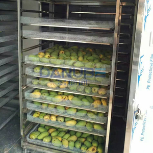 Secadora de Mango Avanzada, Línea de Producción para Pelar, Rebanar y Secar Mango, Máquina Deshidratadora de Mango - Product Image 2