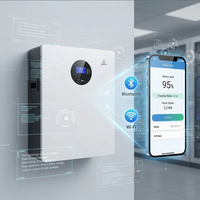 Sistema de Almacenamiento de Energía SHENGLI, Híbrido, 10-15kW, Batería de Litio LiFePO4, UPS Solar para el Hogar, Montaje en Pared, Almacenamiento de Batería CAN