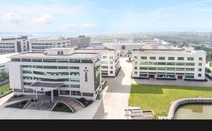 Máquina automática de envasado al vacío para <span class=keywords><strong>levadura</strong></span> seca instantánea, <span class=keywords><strong>levadura</strong></span> <span class=keywords><strong>fresca</strong></span> - Product Image 5