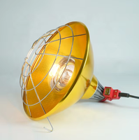 Lampe chauffante pour porcs et volailles avec interrupteur et câble de 2,5 m, directement de l'usine chinoise - Équipement d'élevage en gros