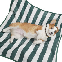 CanboPet lit surélevé pour animaux de compagnie personnalisé lit pour chien rayé pliable portable lit pour chien de luxe extérieur
