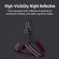 Harnais Réfléchissant Premium Anti-Traction Respirant Tendance et Mignon pour Chiens de Type Y (Corgi, Shiba Inu) Petits et Moyens – Prix d'Usine OEM en Gros