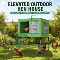 Rampe longue surélevée en plastique ventilée et amovible pour poulailler de poules pondeuses en jardin ou cour arrière