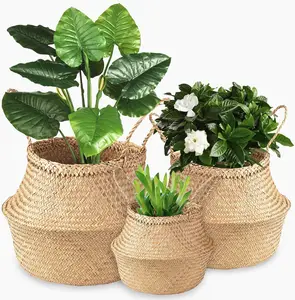 Basket Decorations For Home Decorative Seagrass Wicker Over The Toilet Storage Rope Natural Black Back Of Mail Organizers