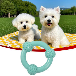 Fabrik Großhandel benutzer definierte Langeweile Buster dauerhafte Hund kauen tpr Spielzeug für kleine Hunde - Product Image 2