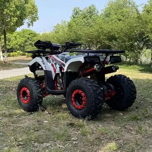 ATV de 125cc de Diseño Económico 2026 - Product Image 4